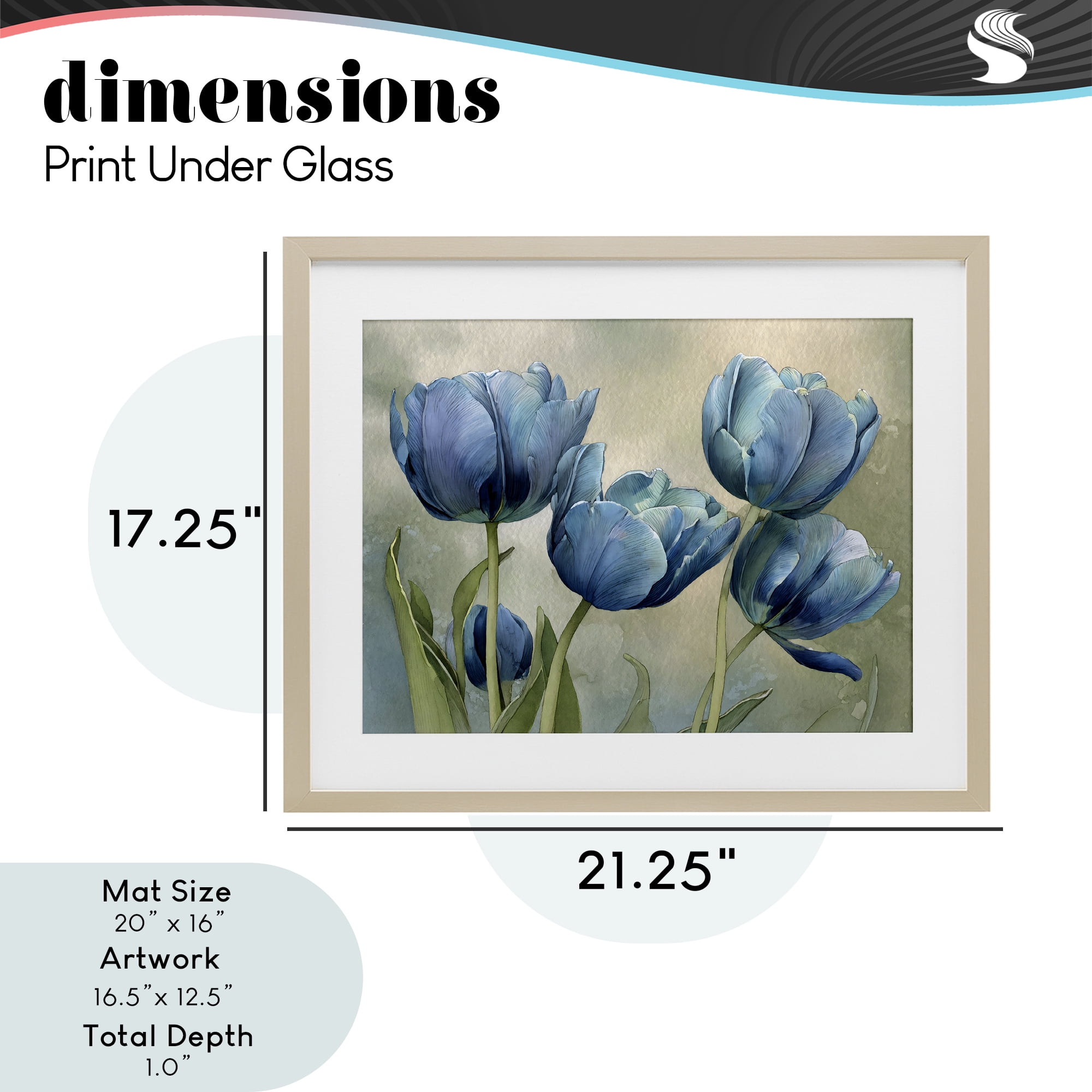 Stupell Industries Drawn Blue Tulip Flowers Birch Framed Print Under Glass, design by Franklyn Gregory