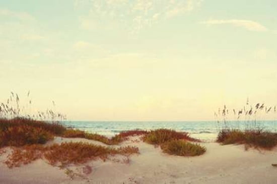 Sandy Path II Canvas Art - Gail Peck ()