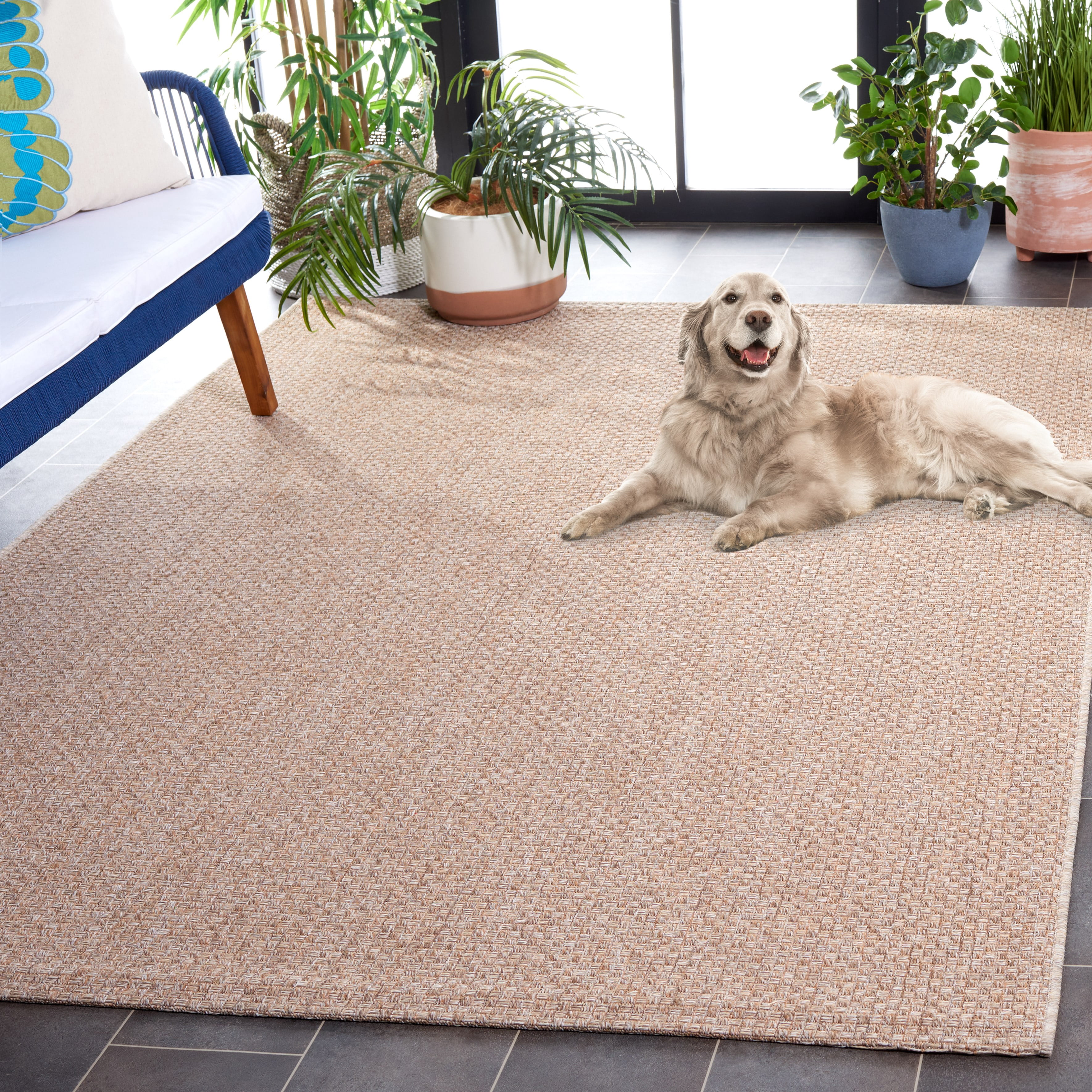 SAFAVIEH Sisal All-Weather Ophelia Solid Indoor/Outdoor Area Rug, Taupe, 4' x 6'