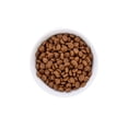 thumbnail image 3 of WholeHearted Libre de Granos Alimento Natural para Gato Todas las Edades Receta Salmón 5.4 kg Wholehearted Salmón, 3 of 5