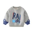 thumbnail image 3 of YOUYEDIAN Toddler Boys Fleece Sweatshirts Long Sleeve Crewneck Dinosaur Pullover Sweater, 3 of 5