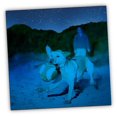 thumbnail image 4 of Chuckit! Kick Fetch Max Glow Large Dog Toy, 4 of 4