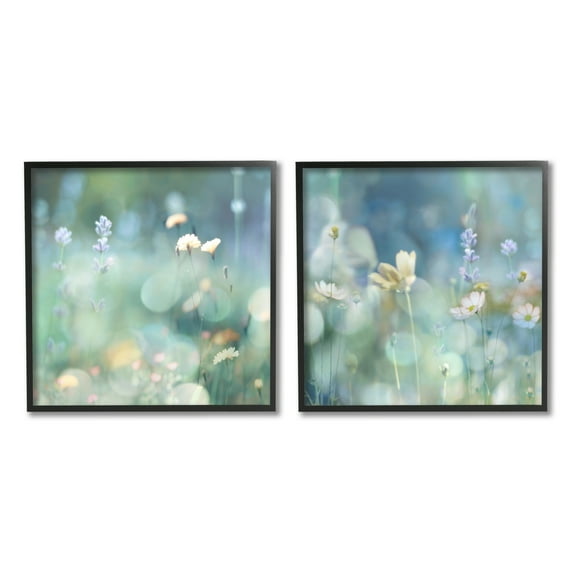 Stupell Industries Sunlit Daisy Field Botanical & Floral Photography Black Framed Art Print Wall Art, 12 x 12