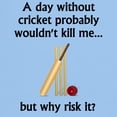 thumbnail image 3 of CafePress - A Day Without Cricket T Shirt - Men's Classic Graphic T-Shirt, 3 of 4