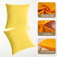 thumbnail image 3 of 2 fundas de almohada de terciopelo para sofá, funda de cojín decorativa cuadrada sólida para dormitorio y coche., 3 of 5