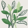 thumbnail image 2 of Prime, Marcus 26x26 White Modern Wood Framed Museum Art Print Titled - Intertwined Foliage 2, 2 of 4