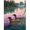 thumbnail image 4 of Buffalo Games Kim Norlien - Northern Splendor 1000 Pieces Jigsaw Puzzle, 4 of 6