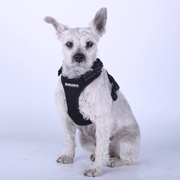 Dog Harness Summer Mesh Nylon Breathable Dog Vest Soft Adjustable Harness for Dogs Puppy Collar Cat Pet Dog Chest Strap