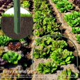 thumbnail image 3 of Planting Support Garden Tunnel Hoop Durable Gardening Tools Bendable Steel Pipe Greenhouse Hoops With Detachable Stakes, 3 of 13