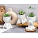thumbnail image 4 of Set de plantas suculentas artificiales de 3 piezas con macetas para decoración del hogar, 4 of 6