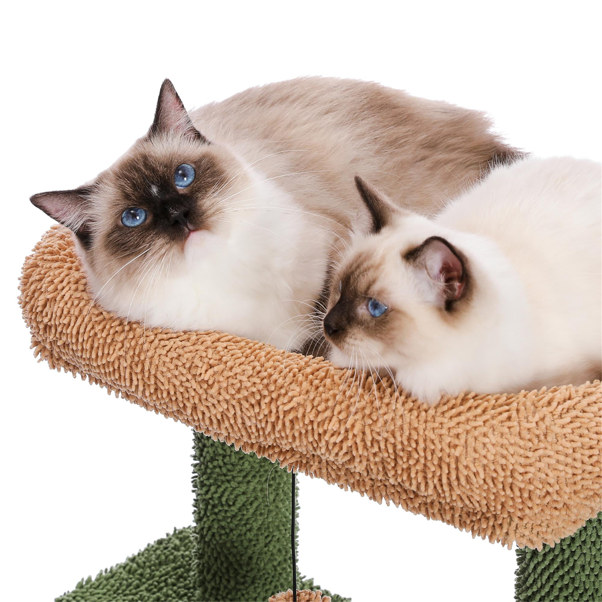 resenkos 41" Cute Cactus Cat Tower Cat Tree with Cozy Condo for Indoor Cats, Cat Climbing Stand with Soft Hammock, Green