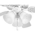 thumbnail image 5 of AirPro Collection Three-Light Ceiling Fan Light, 5 of 5