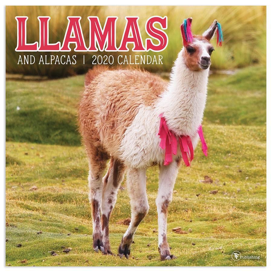 2020 Llamas Wall Calendar