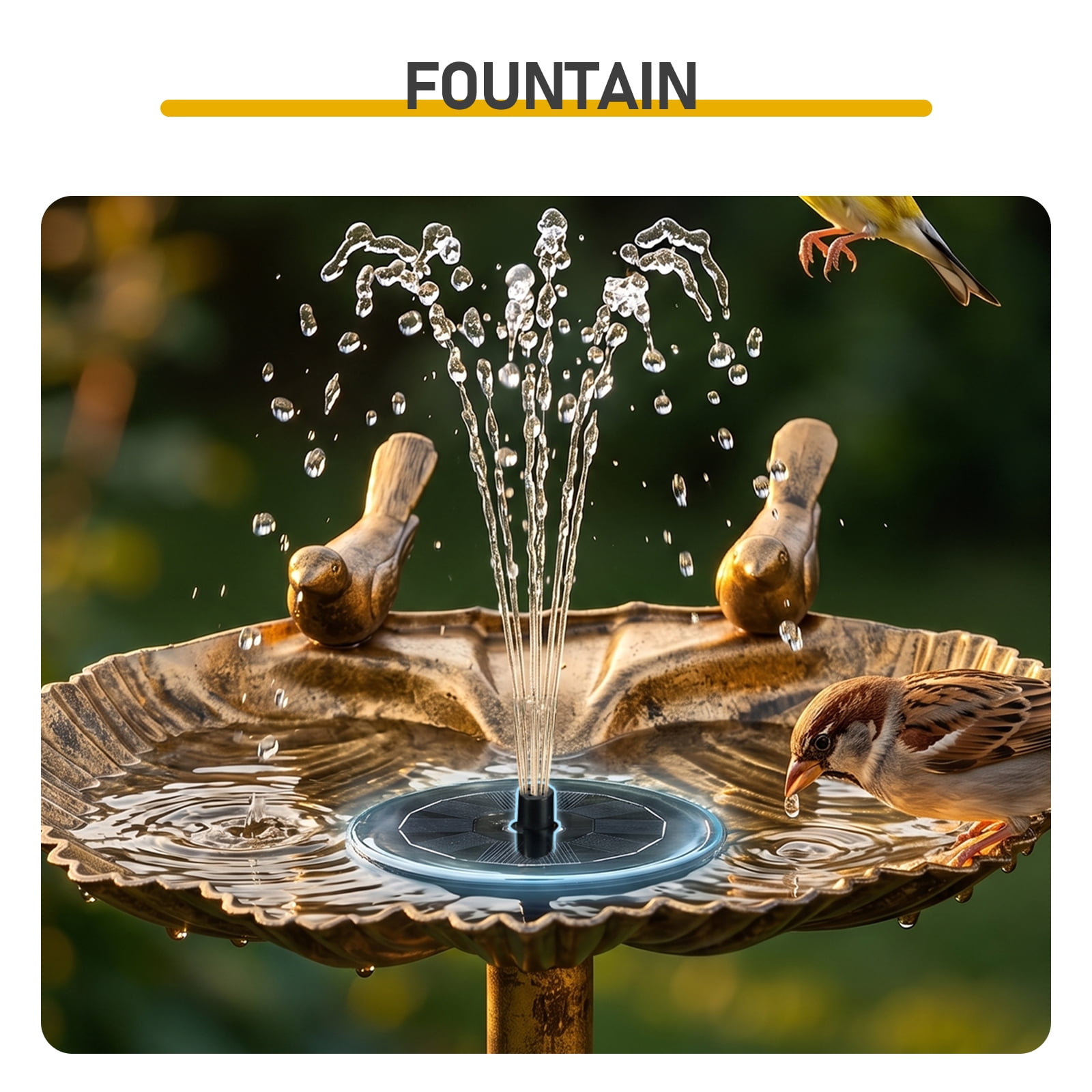 Resin Bird Bath With Shell Edge & 1.4W Solar Fountain, 50*36*81cm