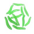thumbnail image 2 of tredstone 100piece Funny Simulated Maggot Bread Worm Toy For Halloween Prank Lovers Creative And Humorous Green, 2 of 6