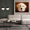 thumbnail image 6 of Epic Graffiti 'Dog 1A' by Ata Alishahi, Giclee Canvas Wall Art, 54"x40", 6 of 8