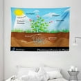 thumbnail image 1 of Educational Tapestry, Photosynthesis in Plant Diagram Biology Botany Agriculture Environment Foliage, Wall Hanging for Bedroom Living Room Dorm Decor, 80W X 60L Inches, Multicolor, by Ambesonne, 1 of 2