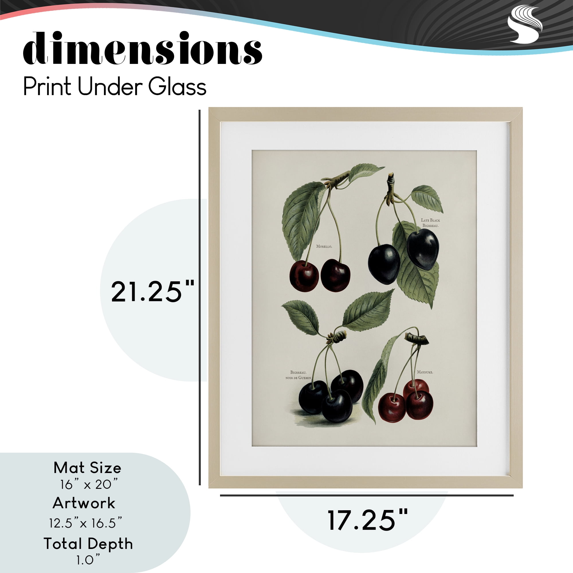 Natural Detailed Cherry Studies Birch Framed Print Under Glass, design by Lettered and Lined