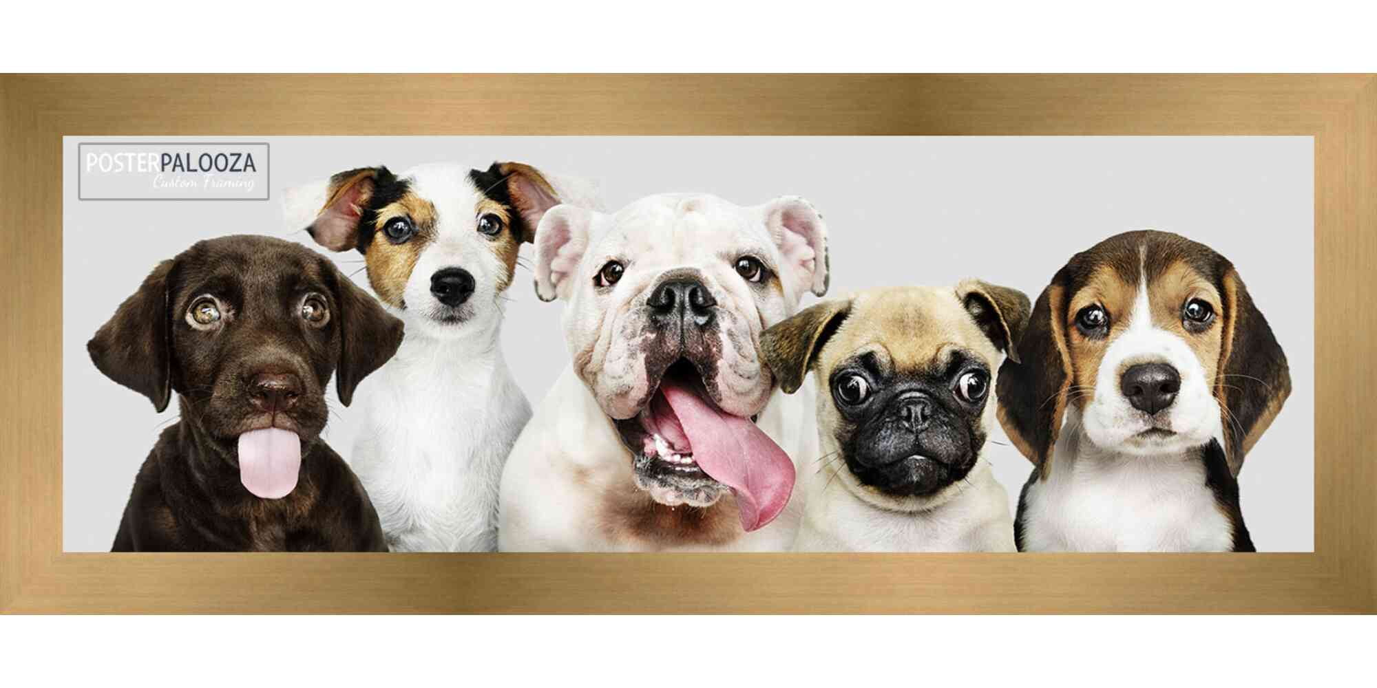 4x10 Gold Bronze Wood Picture Frame - UV Acrylic, Foam Board Backing, Hanging Hardware