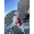 thumbnail image 4 of Soopa Carrot & Pumpkin Jumbo Stick Dog Treats 170g Case of 10, 4 of 9
