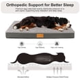 thumbnail image 3 of Exclusivo Mezcla Small Dog Bed with Removable and Washable Cover, Orthopedic Pet Bed for Crates, Non-Slip Bottom and Waterproof Liner, 30"×20", Grey, 3 of 10