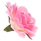 thumbnail image 3 of 5 Piezas Artificial Rosa Cabezas de Flores Ramo de Bricolaje Decoración de Flores Artificiales de para Rosado, 3 of 9