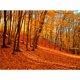 thumbnail image 3 of Póster de lienzo con decoración de otoño, hojas amarillas, vista de otoño, arte de pared, impresión, pintura de puente, imagen de Halloween, decoración del hogar para sala de estar, 3 of 5