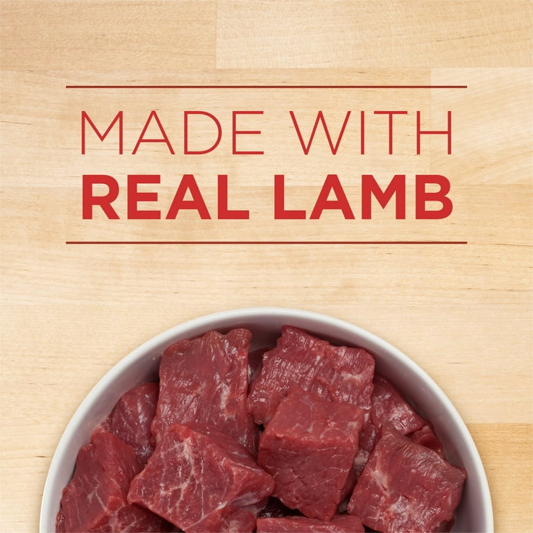 Purina ONE Plus Healthy Puppy Wet Dog Food Soft High Protein Lamb & Rice, 13 oz Can