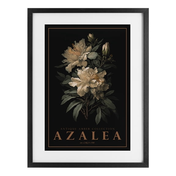 Stupell Industries Antique Azalea Light Black Framed Print Under Glass, design by Chris Giampietro