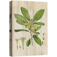 thumbnail image 3 of PixonSign Canvas Print Wall Art Wood Style Green Leaves Floral Wildlife Illustrations Modern Art Traditional Relax/Calm Multicolor Pastel for Living Room, Bedroom, Office - 16"x24", 3 of 5