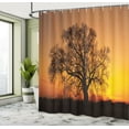 thumbnail image 5 of Ambesonne Tree Shower Curtain, Old Oak at Sunset View, 69"Wx84"L, Orange Brown, 5 of 5