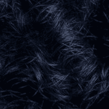 2BB Midnight Blue