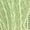 Green, variant on Yubnlvae Beige 2025 Women's Round Neck Loose Short Sleeved Women's T Shirt, L