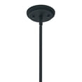 thumbnail image 2 of Coastal Farmhouse Four Light Chandelier-Auburn Stained Finish Bailey Street Home 147-Bel-1044883, 2 of 4