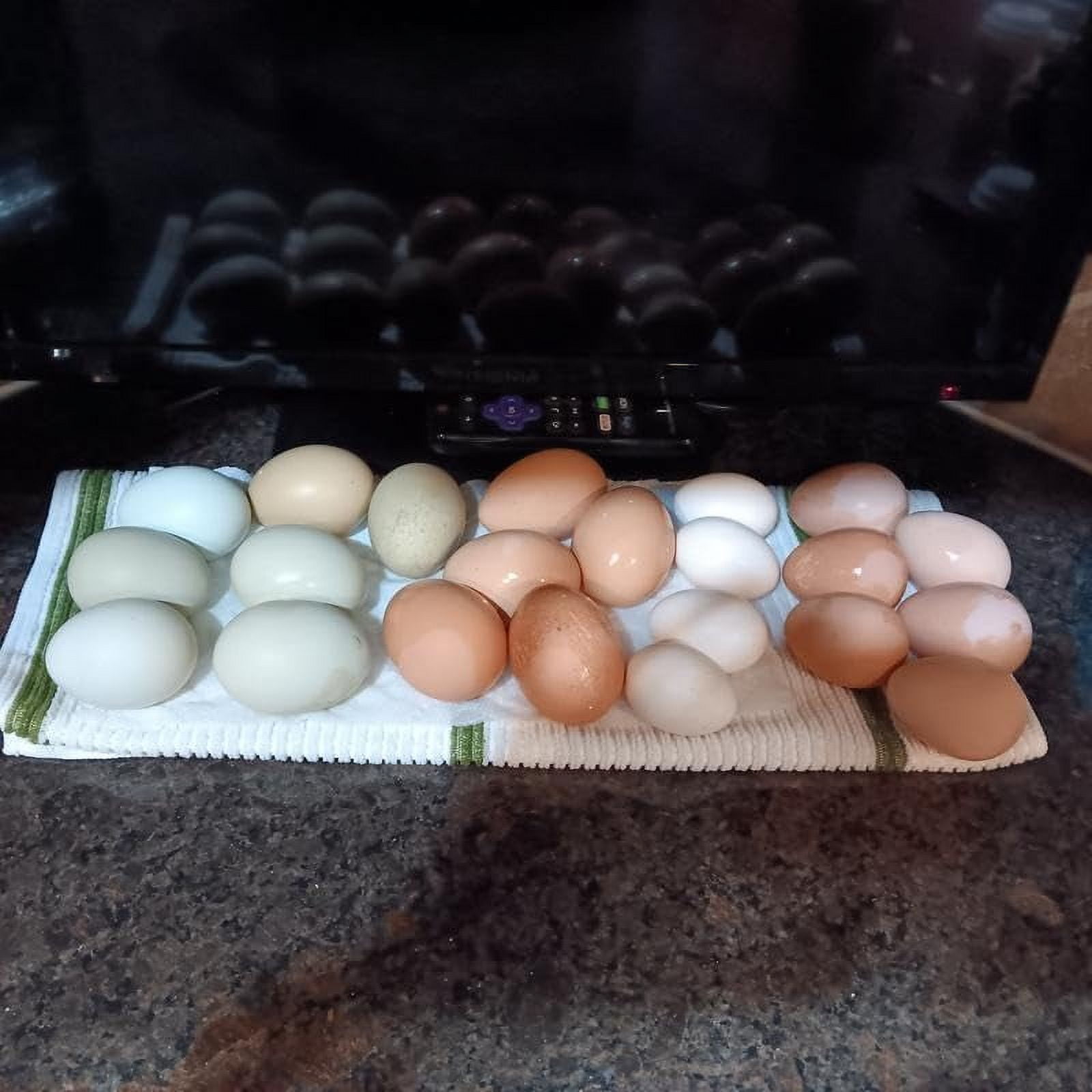 Nutrena Country Feeds Egg Producer Pellet 50 Pounds
