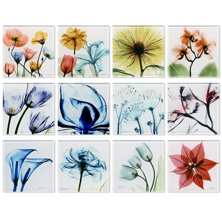 

Pastel Fleurs Coasters Super White Glass Coasters with Cork Bottom - set of 12 florals