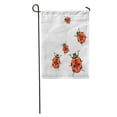 thumbnail image 1 of JSDART Many Ladybirds Scatter in Different Directions Top View Color Drawing Garden Flag Decorative Flag House Banner 12x18 inch, 1 of 2