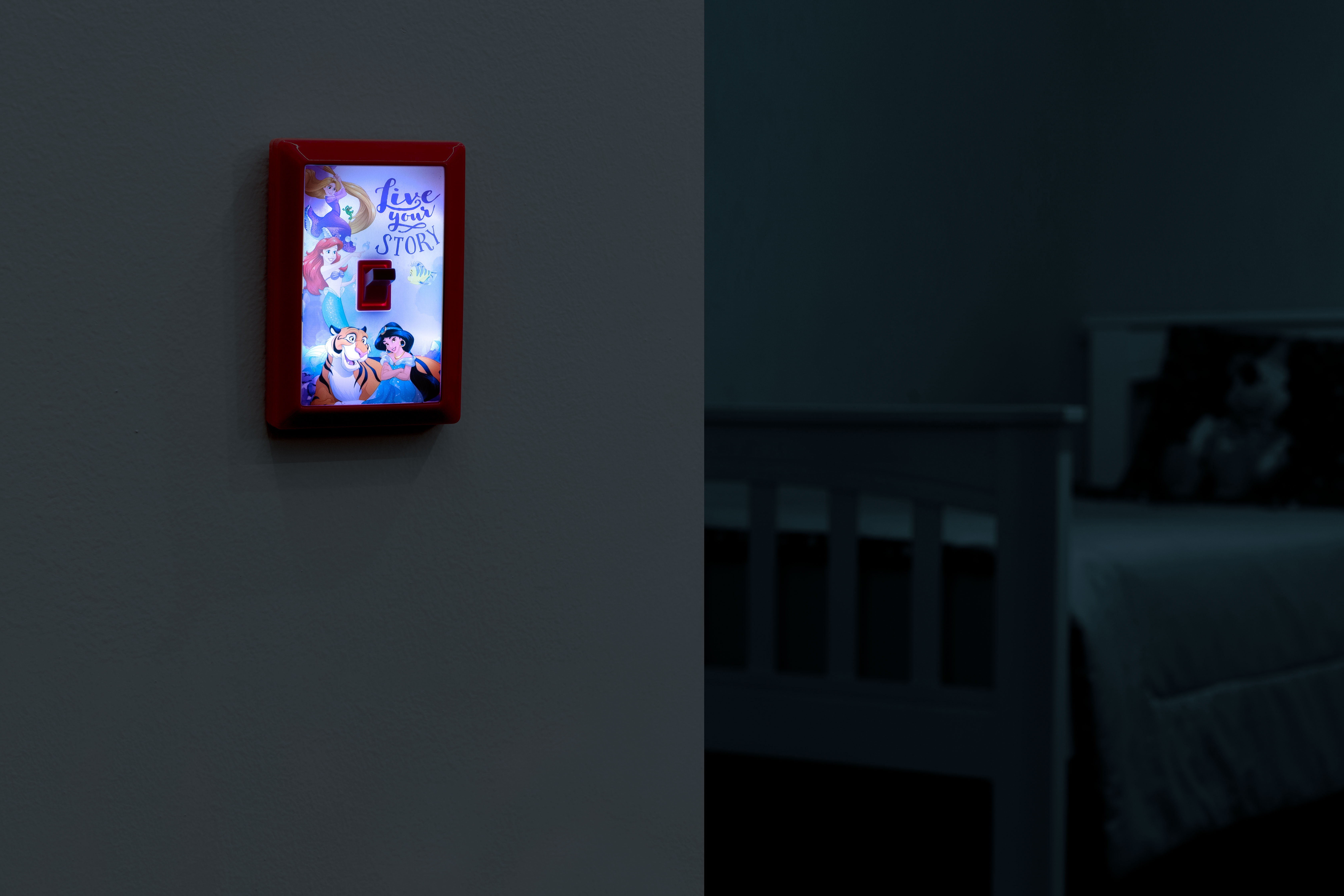 Disney Princes LED Night Light Wall Switch, Battery Powered, 44487