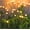 2 Pack, variant on Solar Garden Lights - Upgraded Solar Swaying Light, Sway by Wind, Outdoor Lights, Yard Patio Pathway Decoration, High Flexibility Iron Wire & Heavy Bulb Base, Warm White(2 Pack)