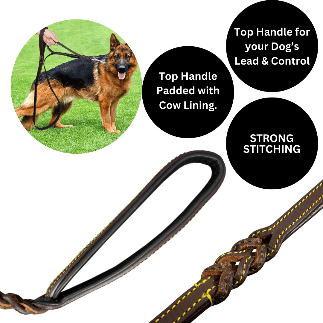 Leather Dog Leash, Genuine Cowhide Braided Pet Leash for Large Dogs, 6ft Easy Control Dog