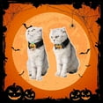 thumbnail image 3 of 2 Pack Halloween Cat Collars with Bell, Kitten Collar with Pumpkin Halloween Collar for Girl Boy Cats Puppy Bowtie+Pumpkin Black, 3 of 5
