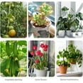 thumbnail image 5 of 10 Pack Stackable Monstera Plant Support, 2025 New Plant Stakes for Indoor and Outdoor Plants Use, Garden Stakes for Climbing and Potted Plants, Pothos, Philodendron (10 Pack), 5 of 7