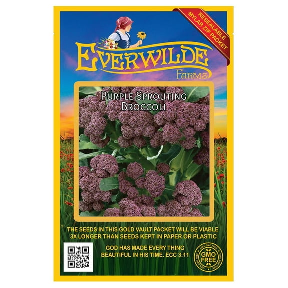 Everwilde Farms - 500 Purple Sprouting Broccoli Seeds - Gold Vault Jumbo Bulk Seed Packet