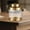 Gold, variant on Fancyes Airtight Stored Glass Spice Glass Organizer Sealed Tea Cutter for Tea Leaves Food Food Storage Containers for Snacks Coffee Beans Black