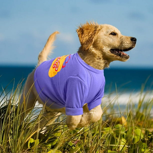 Hot top dog sweatshirt