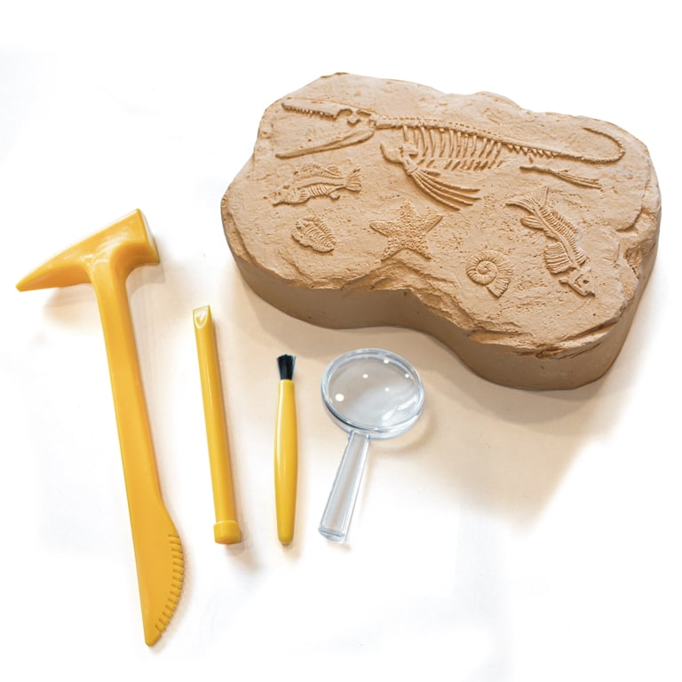 Educational Insights GeoSafari Fossil Excavation Kit photo 3