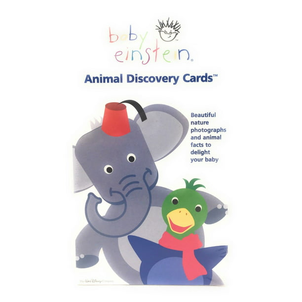 Baby Einstein Animal Discovery Cards: Beautiful Nature Photographs and  Animals 