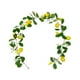 thumbnail image 2 of Guirnalda de ratán artificial de limón - Enredadera colgante de plástico verde de 78,74 pulgadas con limones artificiales para decoración de interiores, exteriores, Navidad, bodas y hogar., 2 of 7