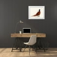 thumbnail image 3 of Fab Funky 14x12 White Modern Wood Framed Museum Art Print Titled - Pheasant Splash 4, 3 of 4