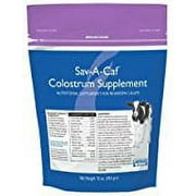 Milk Products Sav-A-CAF, 16 oz, Colostrum Supplement